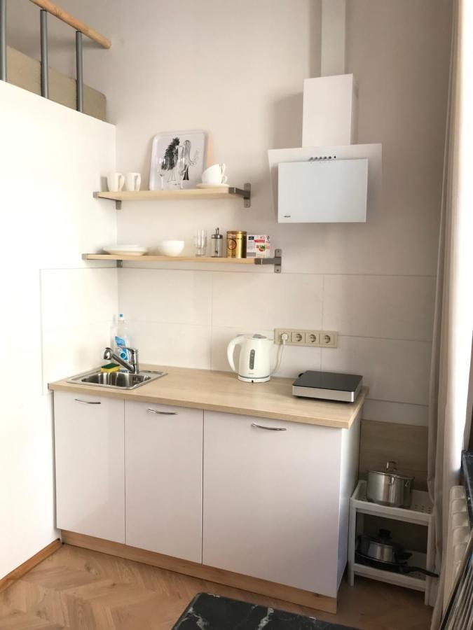 Centro Apartment Near Gedimas Avenue Вилнюс Екстериор снимка